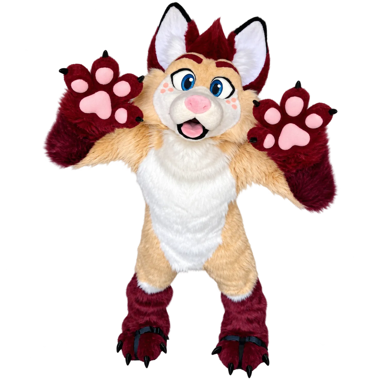 ZylyTheFox, Convidado Especial · Patas 2026